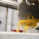 Átadták az Agrosprint Zrt. új csomagoló üzemét