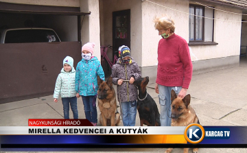 MIRELLA KEDVENCEI A KUTYÁK