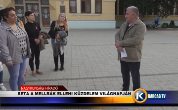 SÉTA A MELLRÁK ELLENI KÜZDELEM VILÁGNAPJÁN