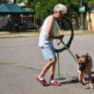 családi nap az arany jános tagiskolában