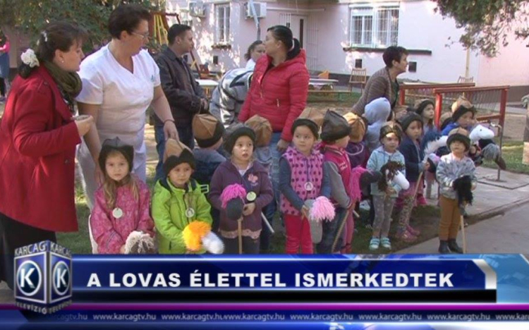 A LOVAS ÉLETTEL ISMERKEDTEK 