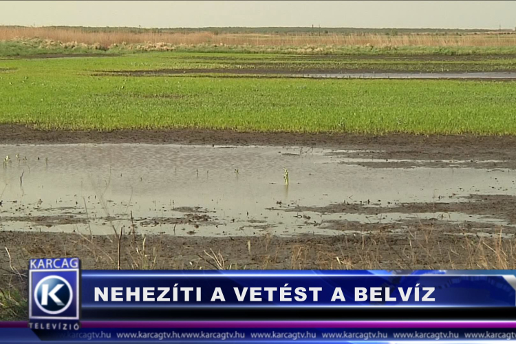 NEHEZÍTI A VETÉST A BELVÍZ