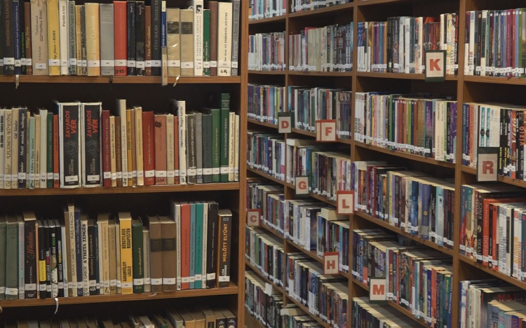 MOZGALMAS ÉVET ZÁRT A KÖNYVTÁR