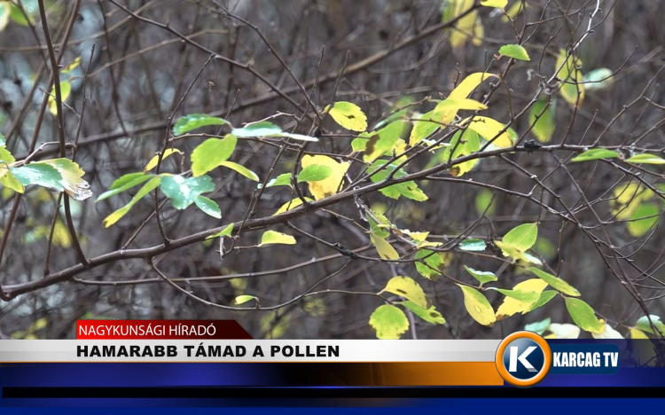 HAMARABB TÁMAD A POLLEN 