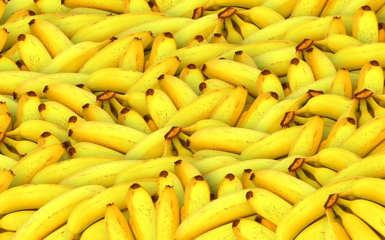 Banánok közé rejtett, rekord mennyiségű kokainra bukkantak a spanyol hatóságok