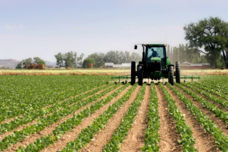 Traktorvezetőt is keresnek