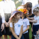 Fecskevató a Györffyben
