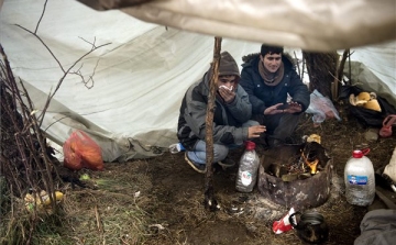 Fagyoskodva is szebb jövőt remélnek a szerb-magyar határ közelében táborozó illegális bevándorlók