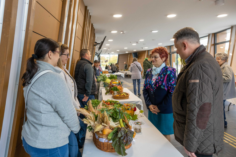 Legszebb Konyhakertek díjátadó