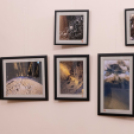 Kovács-Bocskay Anna képzőművész kiállítása