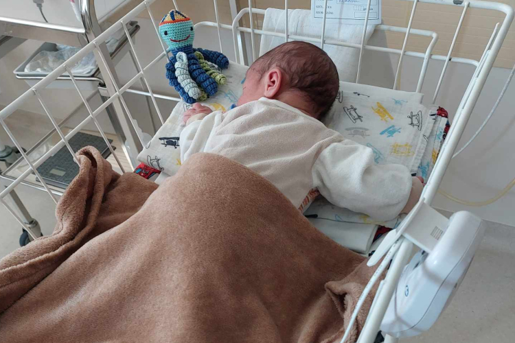 Baba az inkubátorban