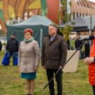 Traktoros ügyességi verseny