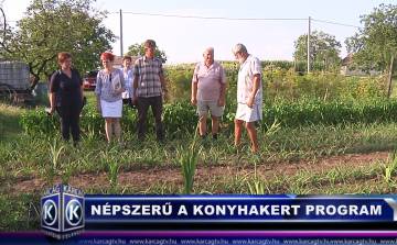 Népszerű a konyhakert program