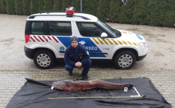 A tiszai vízirendészeti rendőrkapitányság munkatársai tetten érték a feltételezett elkövetőket