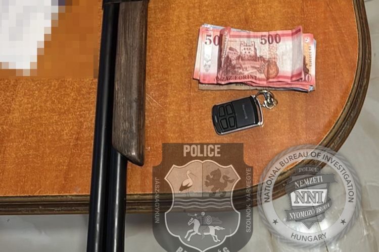 Lecsaptak a hálózatra