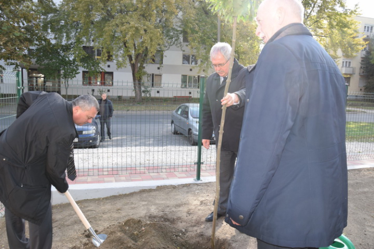  „Zöld város kialakítása” új fotók