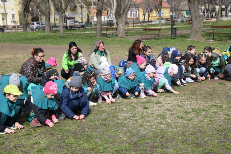 Tavaszköszöntő flashmob