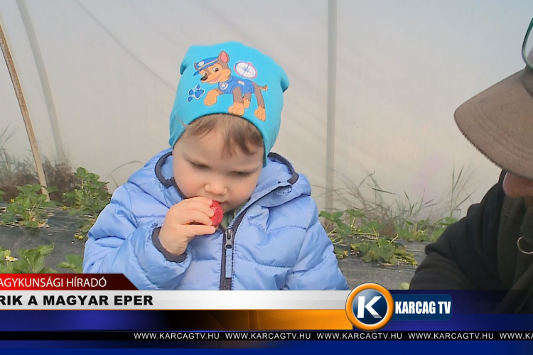  ÉRIK A MAGYAR EPER 