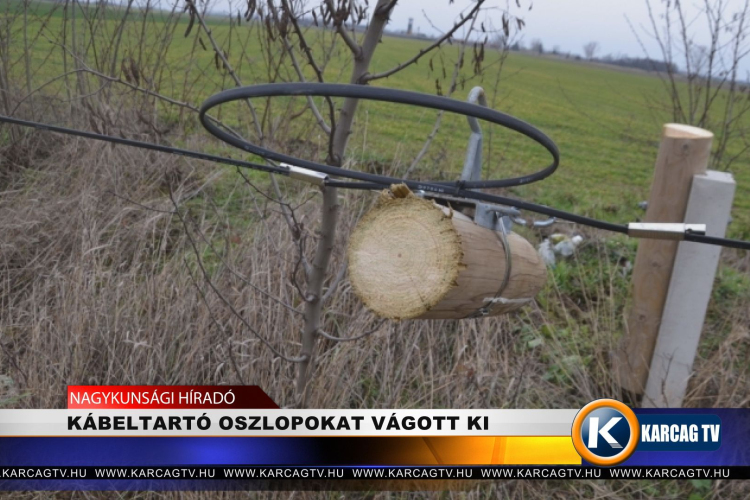 KÁBELTARTÓ OSZLOPOKAT VÁGOTT KI