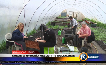 SOKAN A NYUGDÍJ MELLETT IS DOLGOZNAK