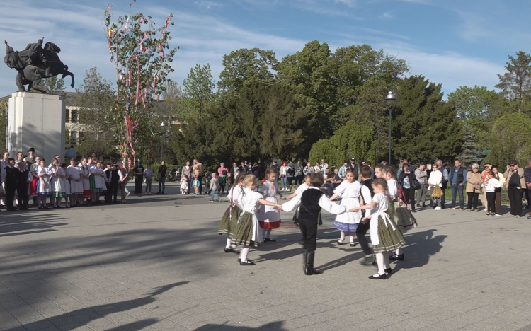 TAVASZKÖSZÖNTŐ MÁJUSFA-ÁLLÍTÁS