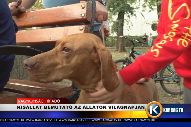 KISÁLLAT BEMUTATÓ AZ ÁLLATOK VILÁGNAPJÁN