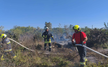 KERTI HULLADÉK ELÉGETÉSE