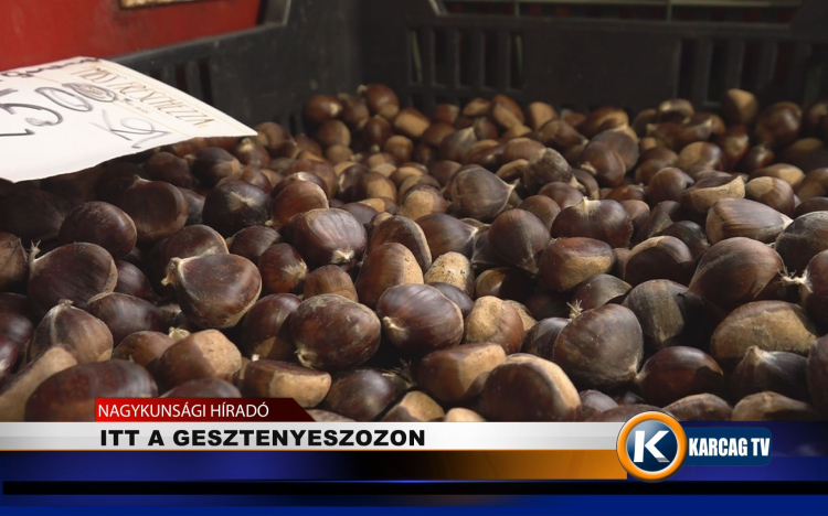ITT A GESZTENYESZEZON