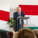 Magyar Kultúra Napja Karcagon