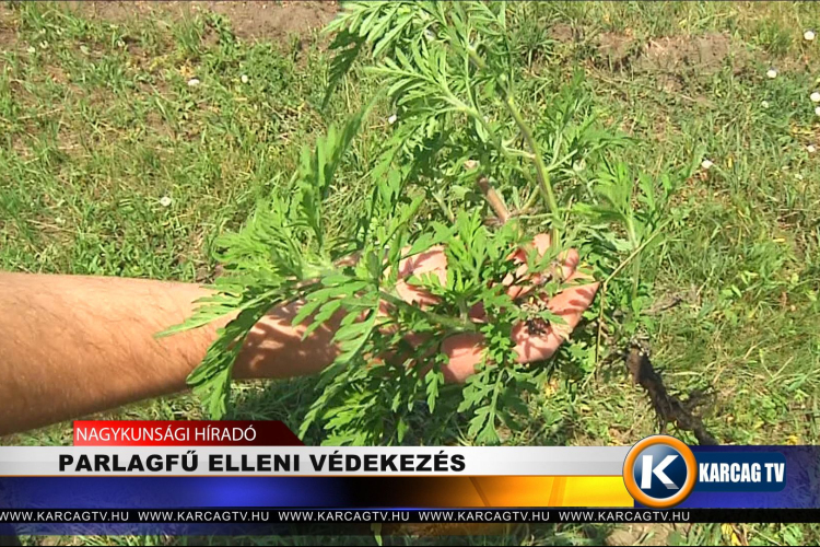 PARLAGFŰ ELLENI VÉDEKEZÉS