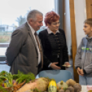 Magyarország legszebb konyhakertje szakmai nap