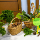 Legszebb Konyhakertek díjátadó