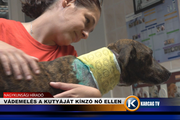 VÁDEMELÉS A KUTYÁJÁT KÍNZÓ NŐ ELLEN