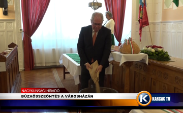 BÚZAÖSSZEÖNTÉS A VÁROSHÁZÁN