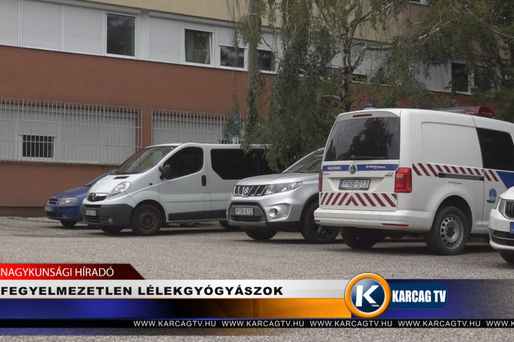 FEGYELMEZETLEN LÉLEKGYÓGYÁSZOK