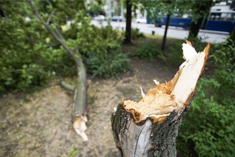 Milliárdos károkat okozhatott a szerdai vihar