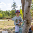 Szent István Napi programok Karcagon