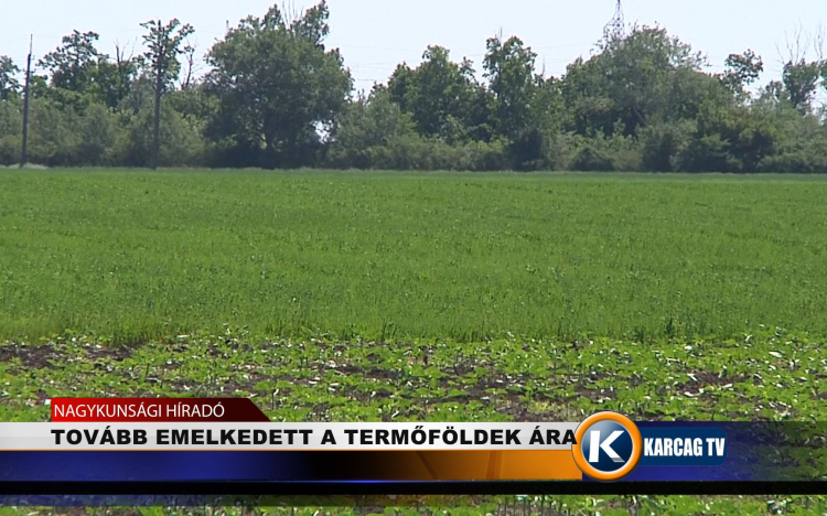 TOVÁBB EMELKEDETT A TERMŐFÖLDEK ÁRA