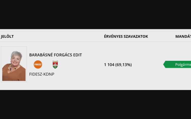 Kenderes időközi önkormányzati választás