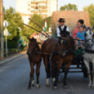 aratófelvonulás, a Szolnoki Szimfonikusok koncertje és tűzijáték