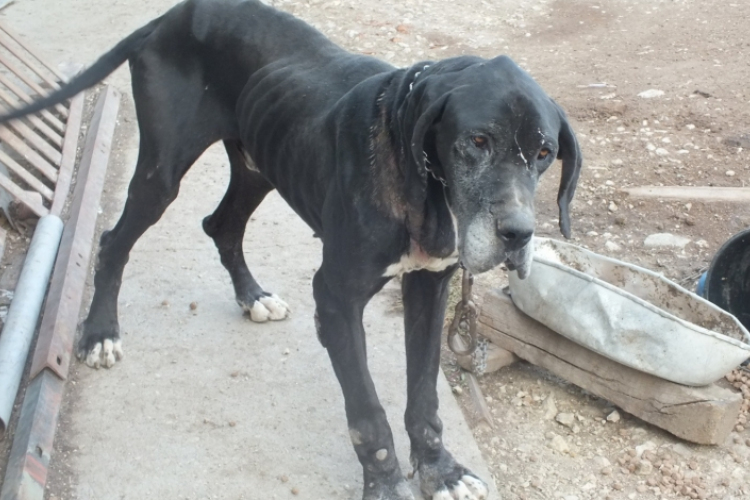 DERIK MÁR BIZTONSÁGBAN VAN 