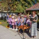 Fecskevató a Györffyben