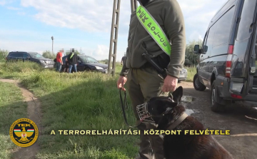 KARCAGI DÍLERT VONTAK KI A FORGALOMBÓL