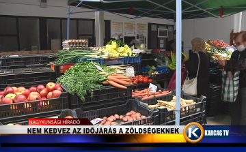 NEM KEDVEZ AZ IDŐJÁRÁS A ZÖLDSÉGEKNEK