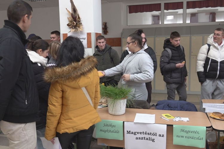 BEMUTATÓKAT IS TARTOTTAK A NYÍLT NAPON