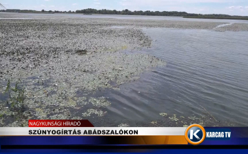 SZÚNYOGÍRTÁS ABÁDSZALÓKON