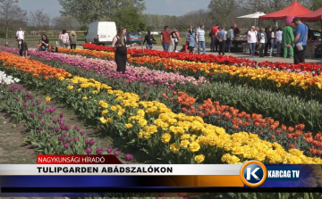 TULIPGARDEN ABÁDSZALÓKON