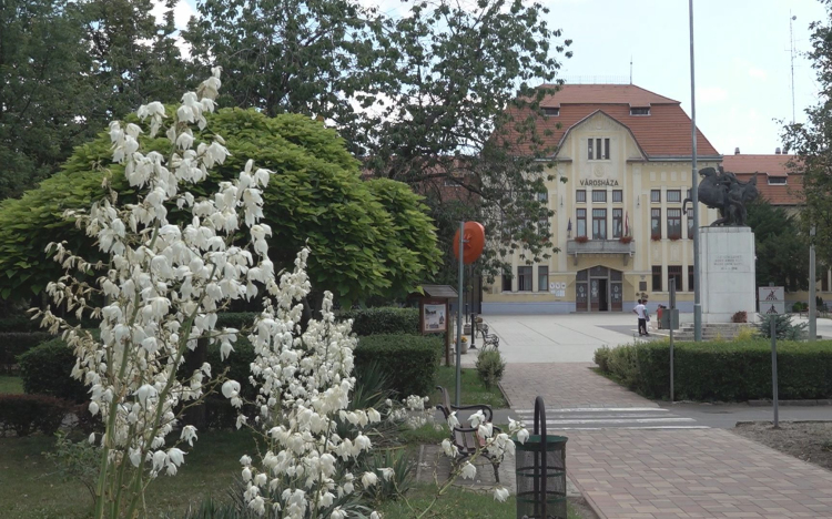 VÁROSI SÉTÁKAT SZERVEZ A MÚZEUM