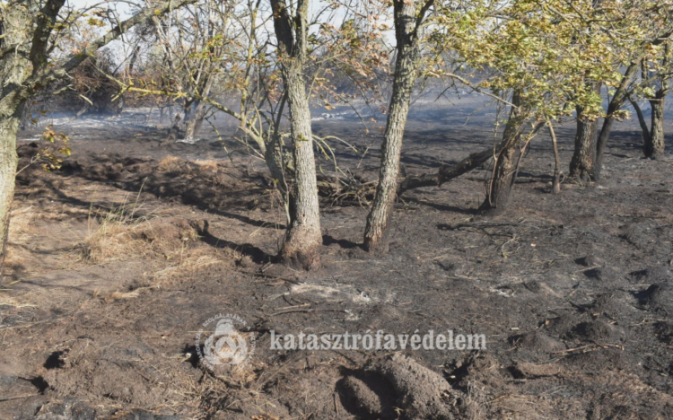  Harminc hektár égett le Kunmadarasnál