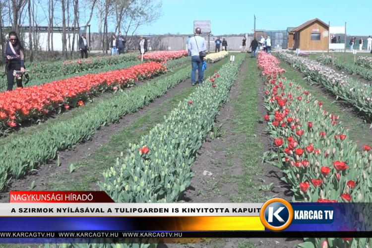 A SZIRMOK NYÍLÁSÁVAL A TULIPGARDEN IS KINYITOTTA KAPUIT